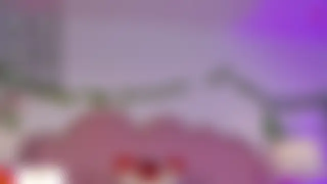AriaCush লাইভ XXX চ্যাট