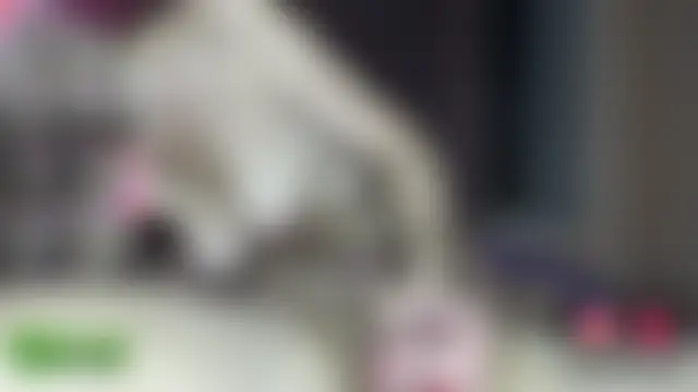 Онлайн чат XXX LindaXSteve