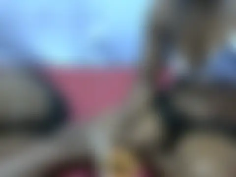 princess_ebony3 XXX чат на живо