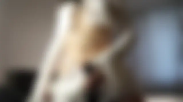 LettySlovacek 现场XXX聊天