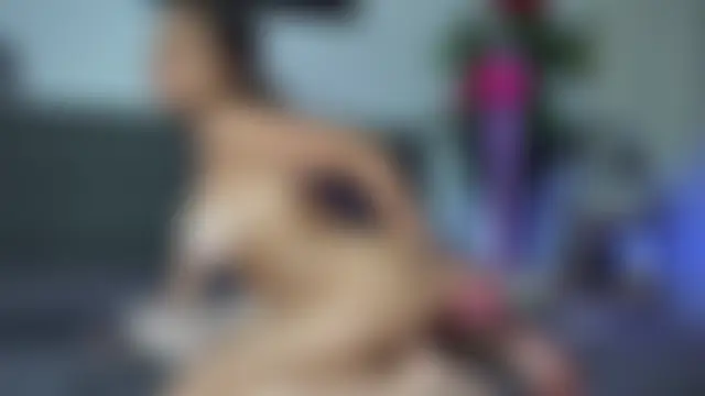 LuxeKiana 실시간 채팅방