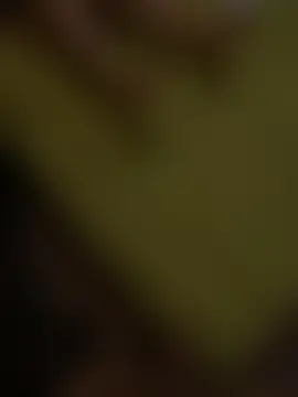 Chat XXX Live kotkite