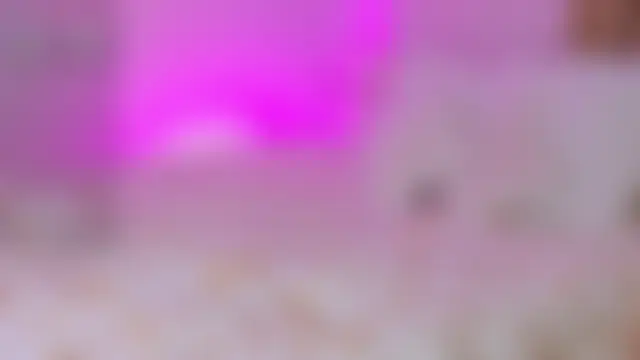 elariswave Chat XXX live