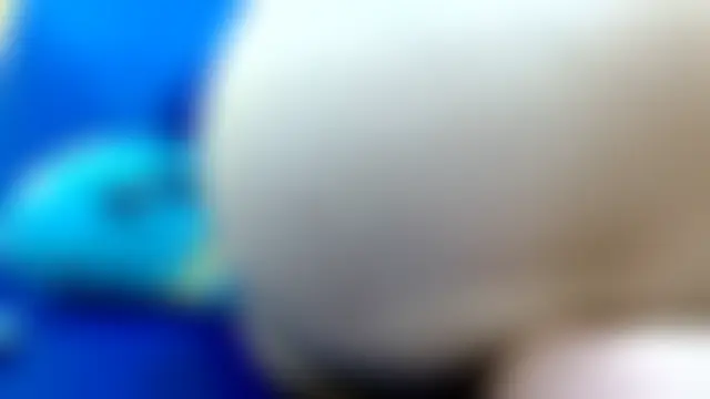 thebesthairypussy2 Chat XXX in diretta
