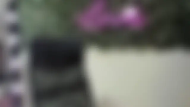 Chat ao vivo de DestinyHills