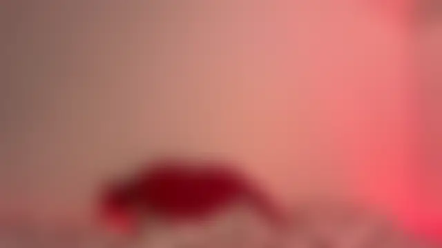 دردشة Hairytale الجنسية المباشرة