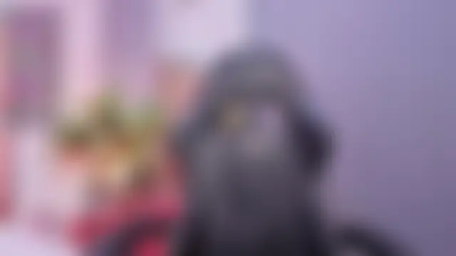 StacyHans Live XXX-chat