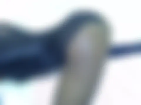 Twerln Live XXX chat