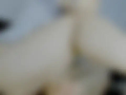XXX chat uživo modela Babe-sofi