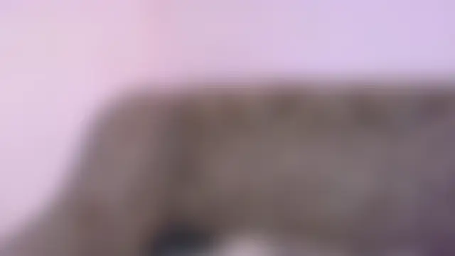 Norma_Wall 即時 XXX 聊天