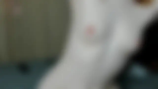Sala de chat ao vivo de SunFlowerHoney