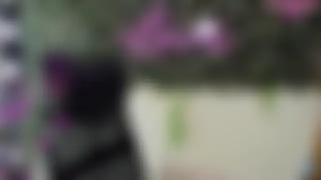 DestinyHillsn Live XXX chat