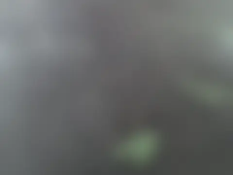 sikkille1 现场聊天室