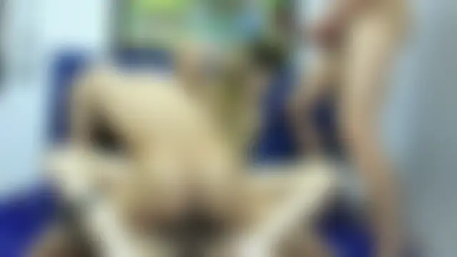 NebetHetthreeSexのウェブカメラショー