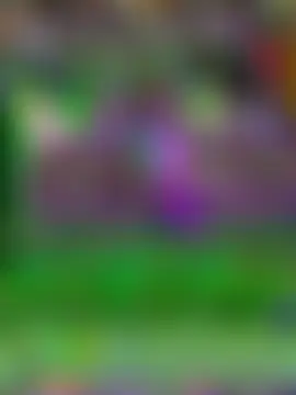 aly_16 élő XXX-chatje