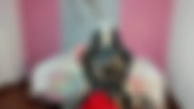 samy_19_ Adlı Modelin Canlı Sohbet Odası