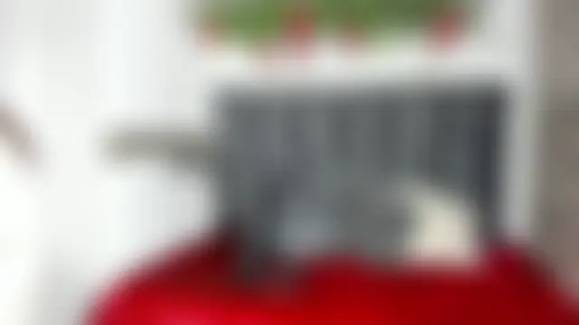 Bilik Sembang Langsung Sara_Naugty