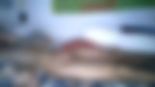 Dileilei Live Chatrum