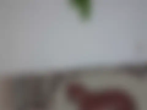 Pokój czatu na żywo – Valery__lovex
