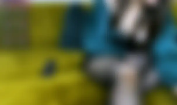 Jade_love20 élő chatszobája