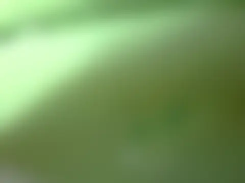 indianninza 现场聊天室