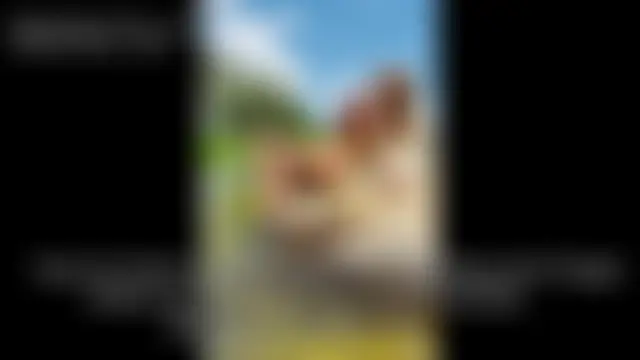IsabellaFerreiraa élő chatszobája
