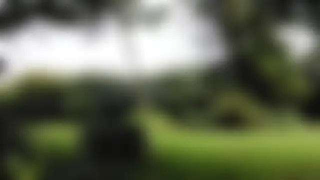 NatashaDiamond's Live Chat Room