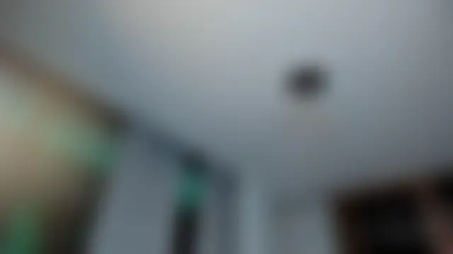 Dahiiana_Foxx: δωμάτιο απευθείας συνομιλίας