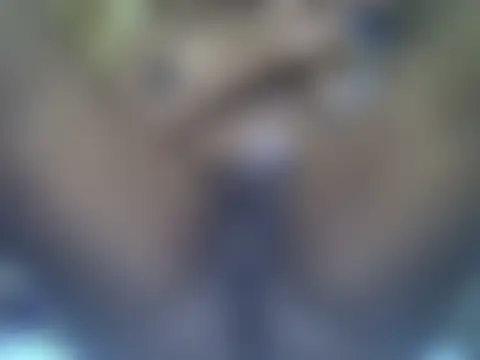 lovelymeli2 – live chatrum