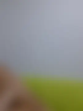 LoveCandy_666 Adlı Modelin Canlı XXX Sohbeti