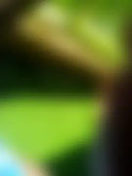 dickmentation élő XXX-chatje