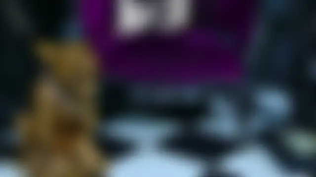 Chat XXX en directo de FinDomKaya