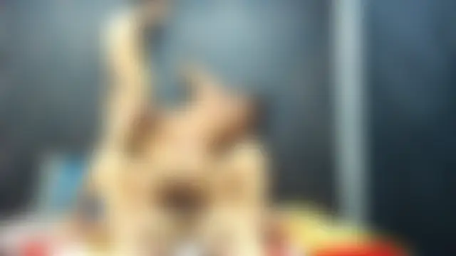 XgreatGroupShow's Webcam Show