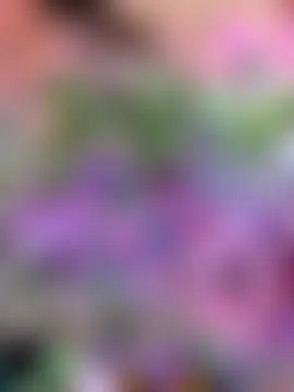 Maya_Star webkamerás műsora