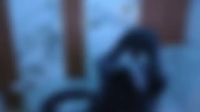 Queen_Red_v élő XXX-chatje