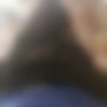 AnassXmaroc: вебкам-шоу