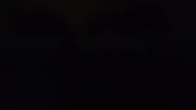 ZeldaSneakyLink's Webcam Show