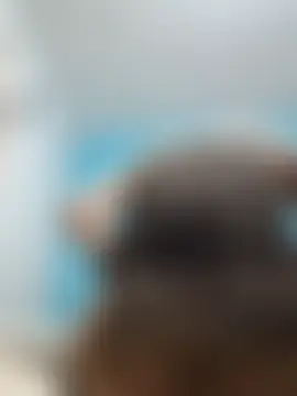 Breek's Live Sex Cam Show
