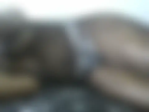 Cinna-Fineass Pertunjukan Webcam
