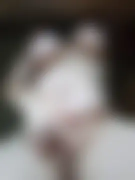 Sembang XXX Secara Langsung GeilesLuder36