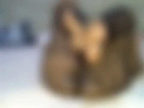 Bonnieblack2 XXX чат на живо