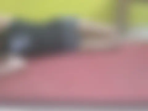 Stubborndesiboy – live sex-cam-show