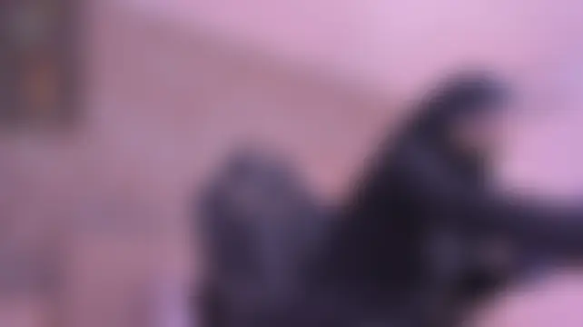 Онлайн чат XXX zaif_thal