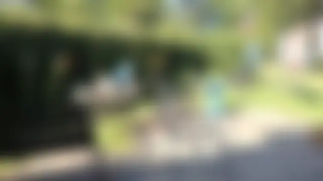 CDforU Live Sex Cam-Show
