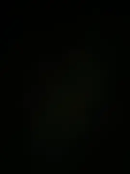 auds08 Live Chatraum