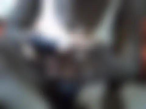 Dirtymlkmum Live XXX-chat