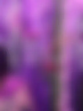 Czat XXX na żywo – sofia_saory