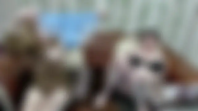 Kati000888's Live Sex Cam Show