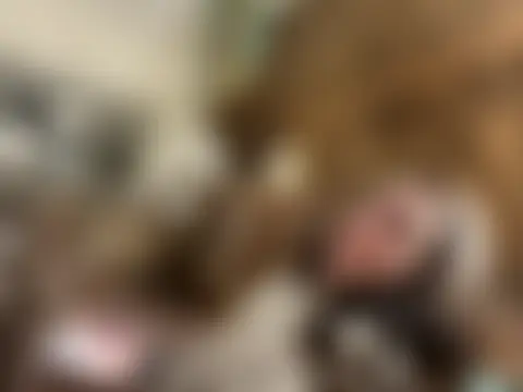 ash10alex's Live XXX Chat