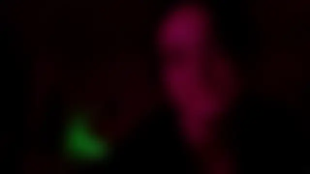 Chat +18 de Texxaspearl ao vivo